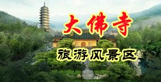 婷婷丁香第七色中国浙江-新昌大佛寺旅游风景区